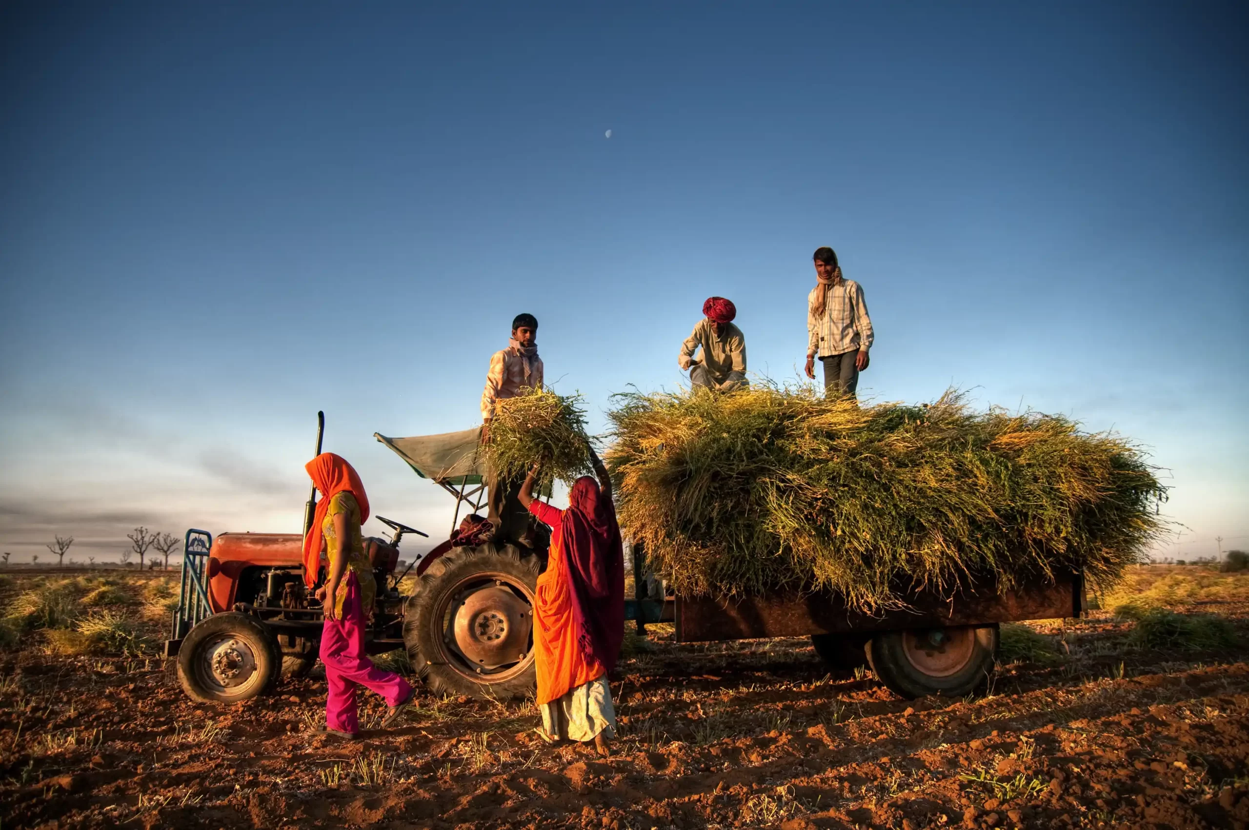 Agriculture